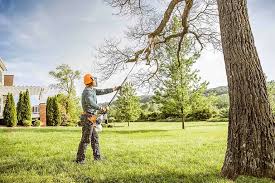 Best Tree Preservation Services  in Skippers Corner, NC